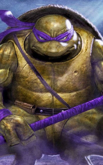  Teenage Mutant Ninja Turtles