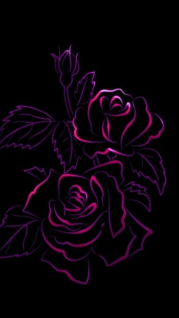  Neon Roses