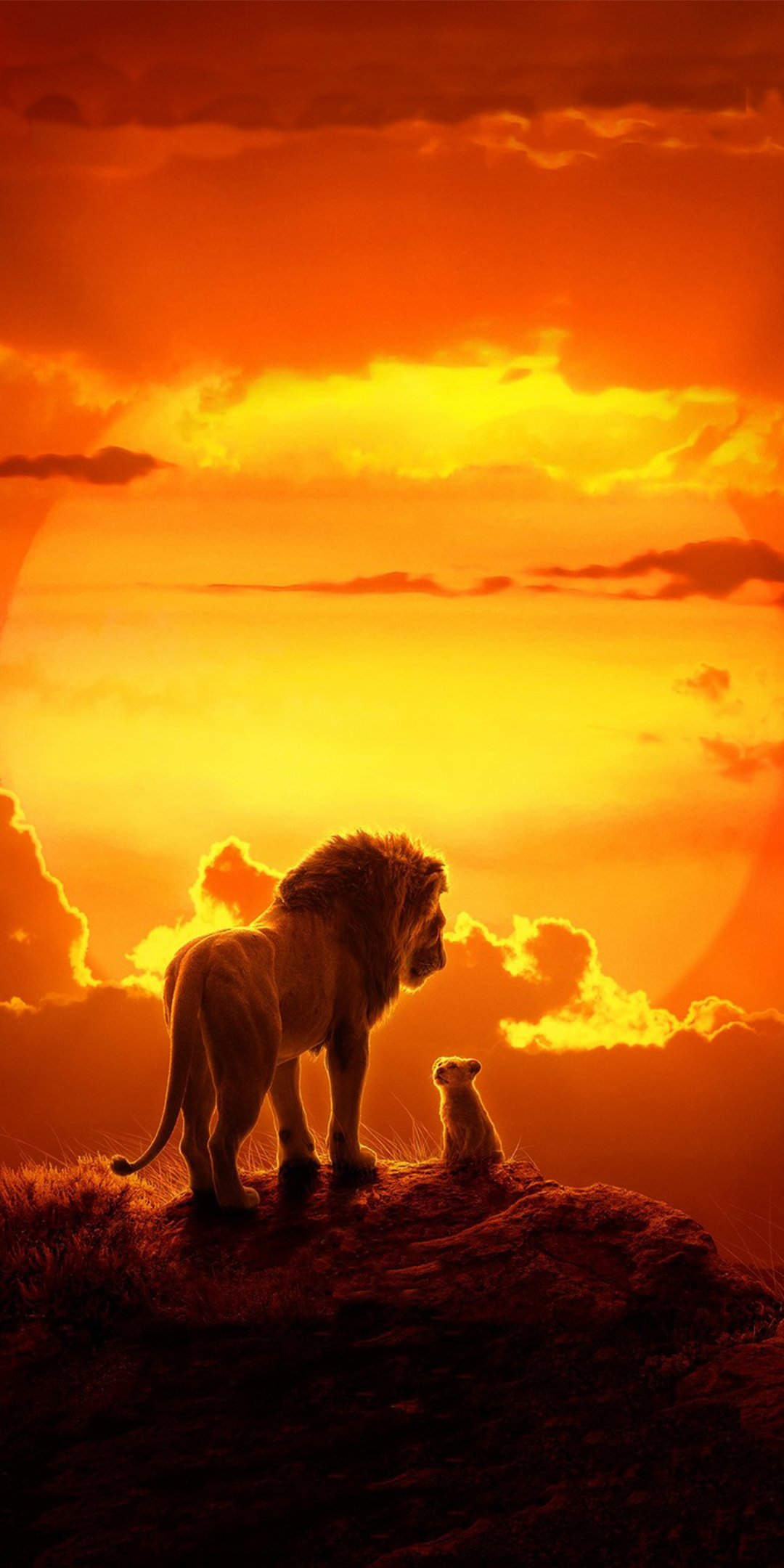 Download Movie The Lion King (2019) Phone Wallpaper