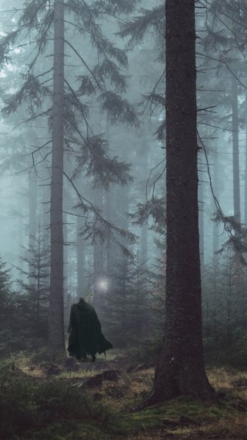 tree forest Guts (Berserk) Anime Berserk anime forest Phone Wallpaper