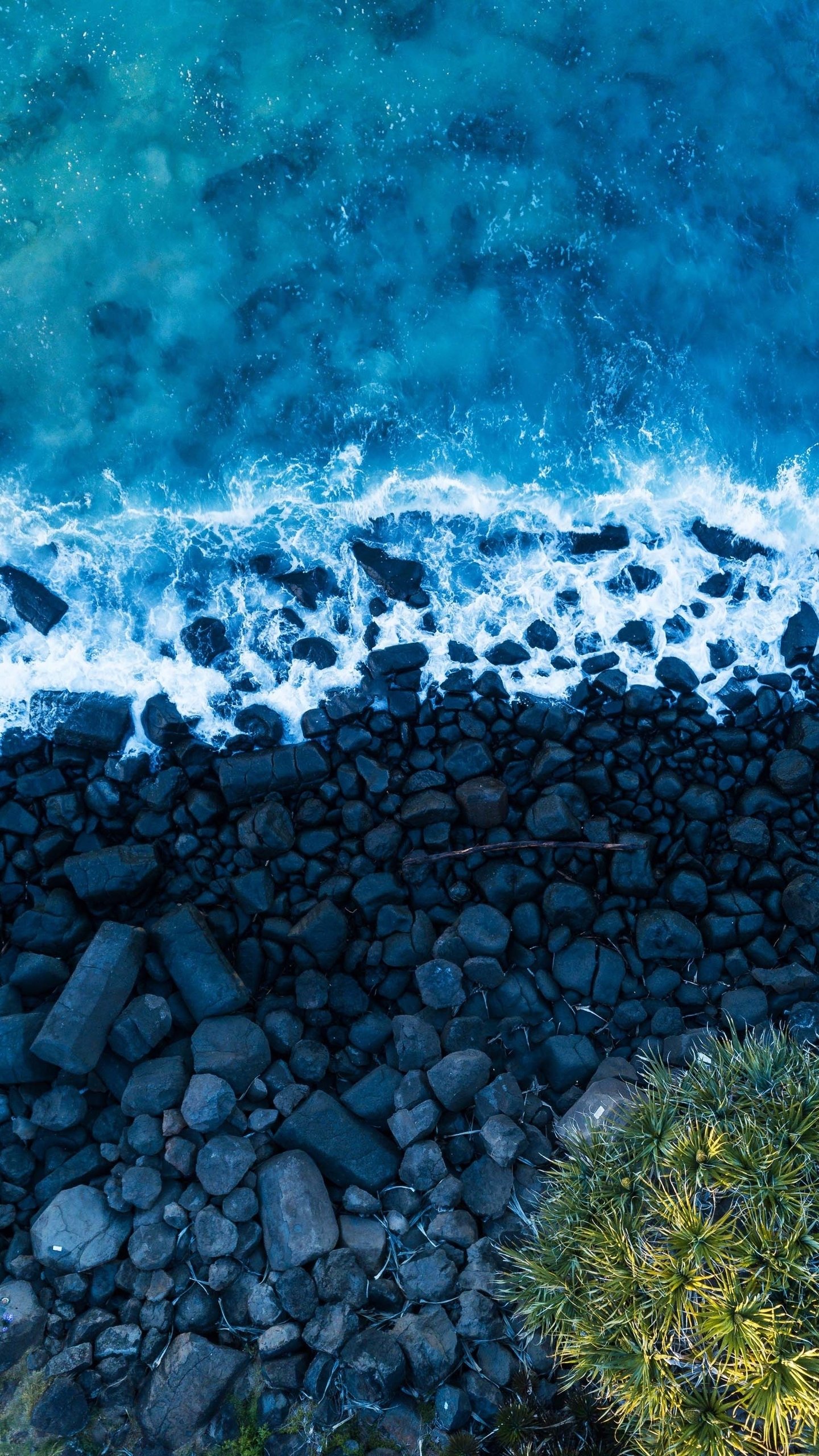 Download Pebble Beach Nature Beach Phone Wallpaper