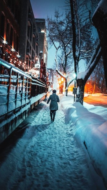 photography winter Phone Wallpaper