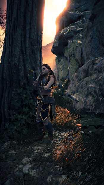 Aloy (Horizon Series) video game Horizon Zero Dawn Phone Wallpaper