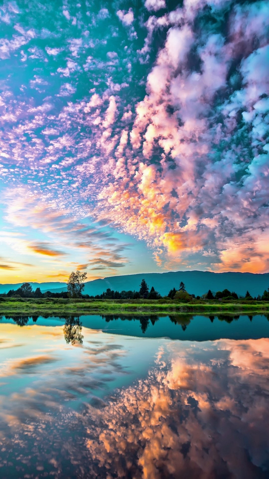 Download Nature Reflection Phone Wallpaper