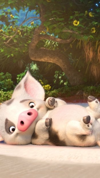 pig Pua (Moana) Moana movie Phone Wallpaper