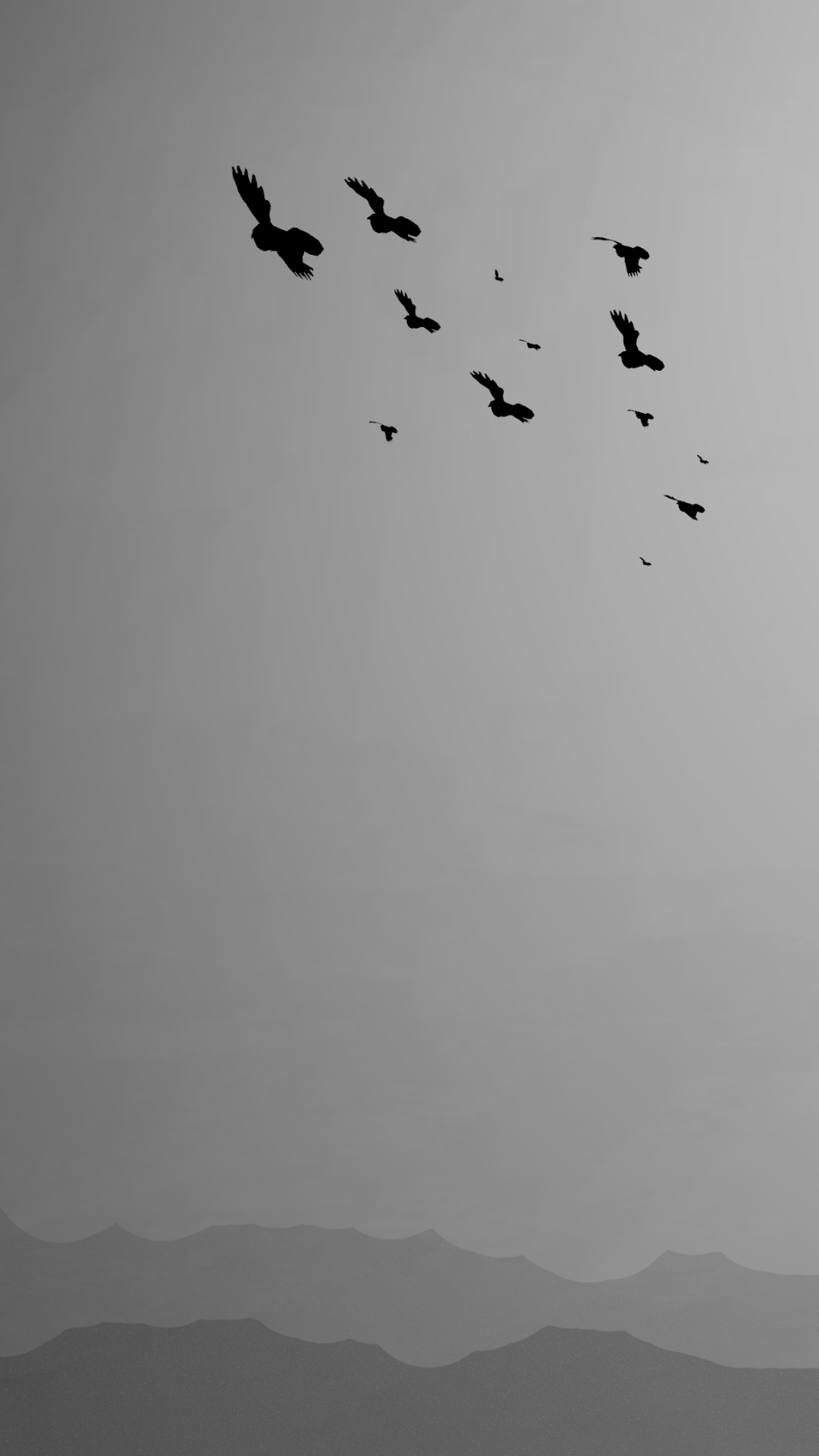 Download Sad Flock Of Birds Cat Artistic Black & White Phone Wallpaper