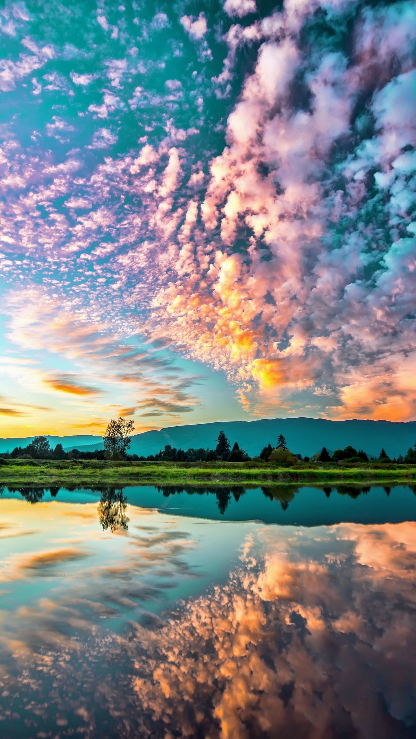 Download Nature Reflection Phone Wallpaper