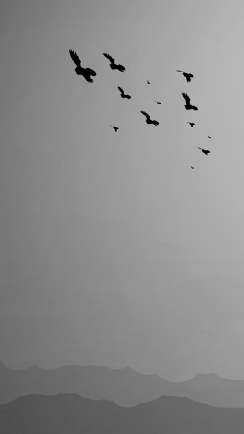  [SFM] Far Away