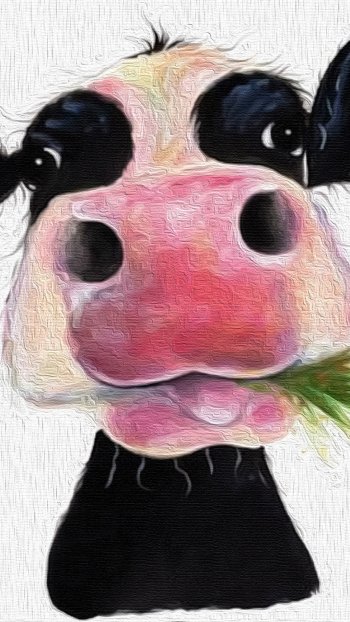 Animal cow Phone Wallpaper