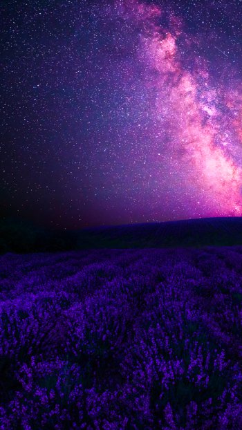  Purple Fantasy