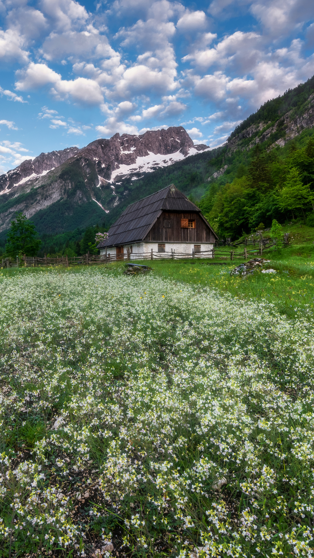 Tiny house in Mountain Meadow by Aleš Krivec