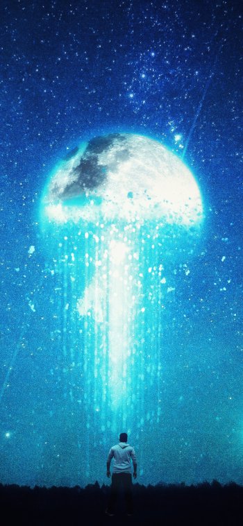  Fallen Moon Dream