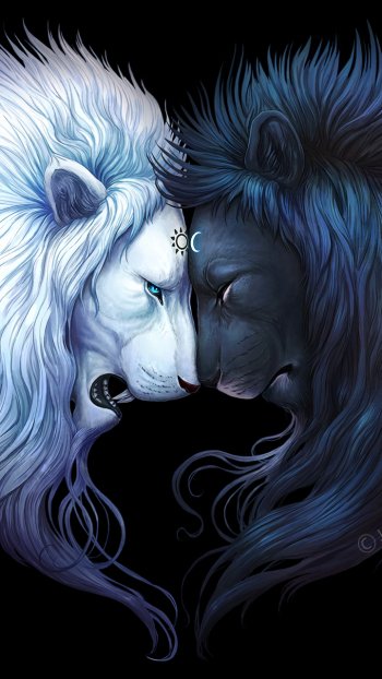  Ying and Yang Lions by Jonas Jödicke