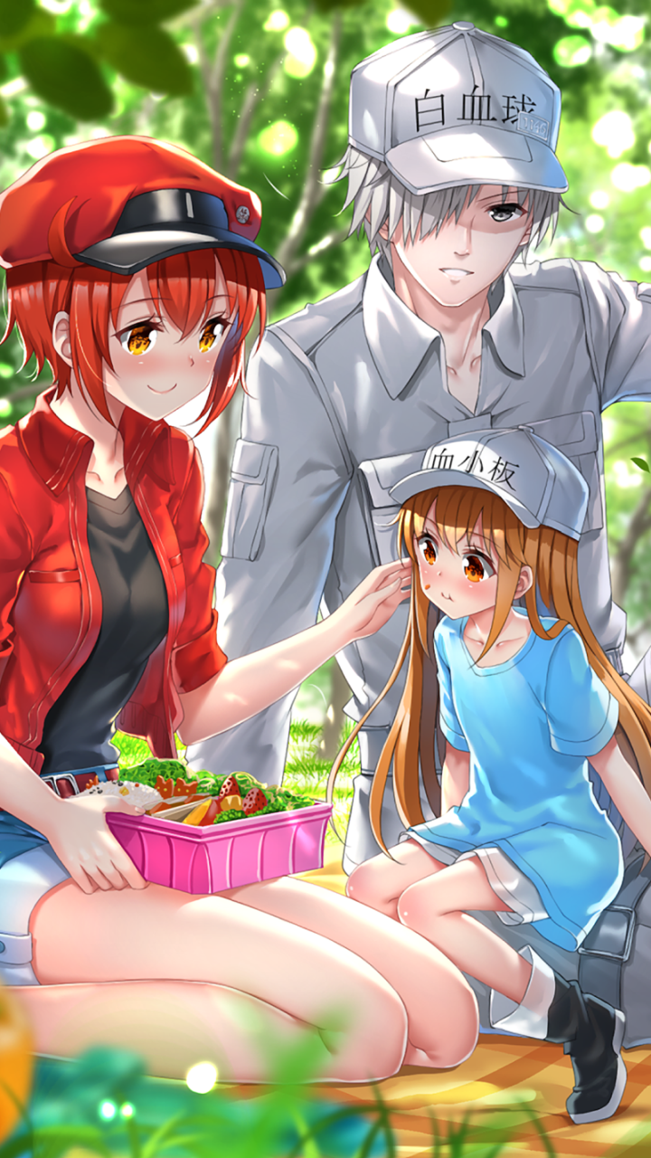 Anime Cells at Work! HD Wallpaper by Swordsouls