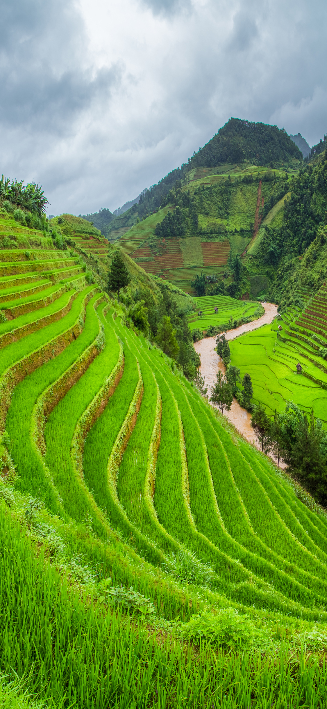 Man Made Rice Terrace 1125x2436 Wallpaper Id 783088 Mobile Abyss