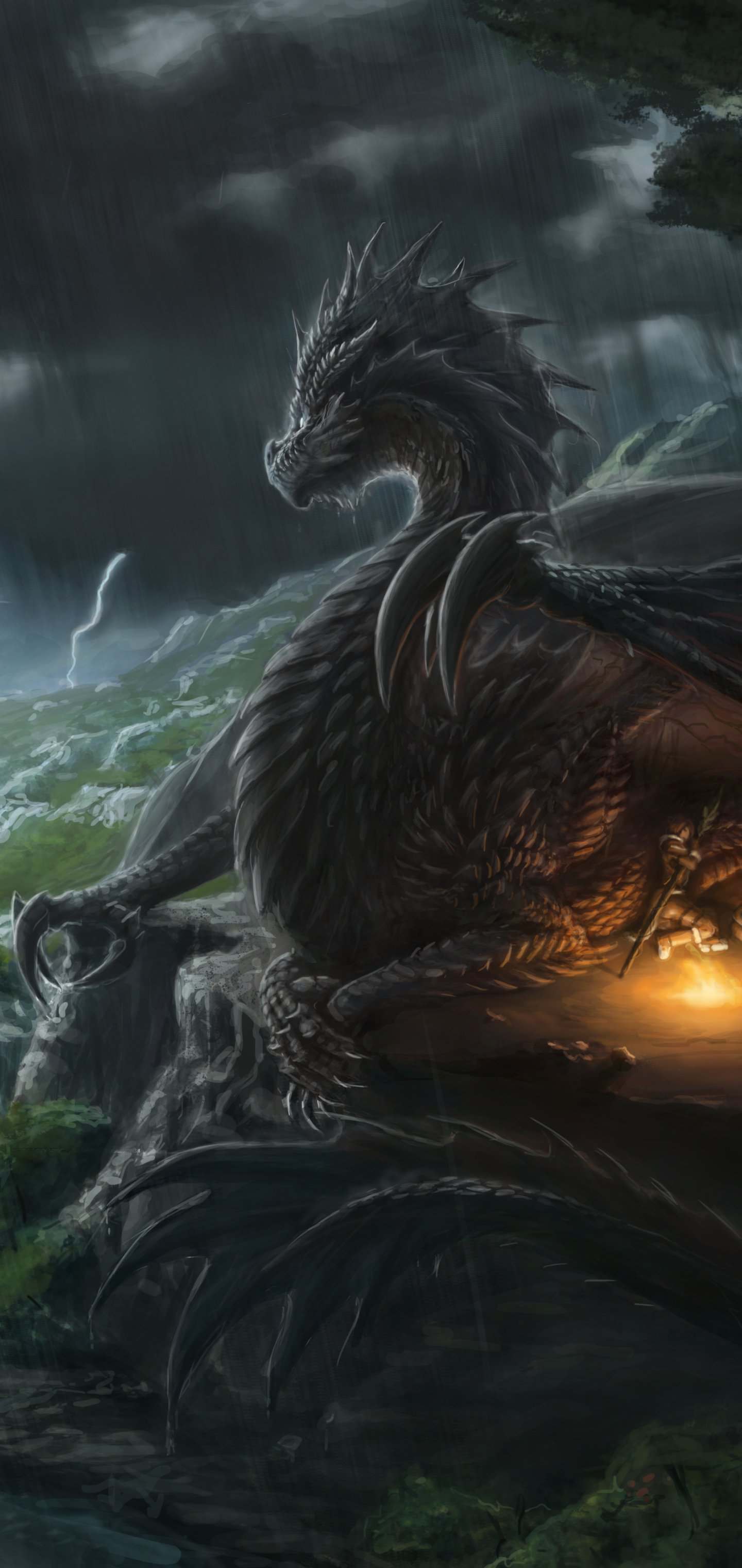 A fierce black dragon with glowing eyes rests in a stormy, fantasy landscape, illuminated by a small fire, designed as a vertical wallpaper for iPhone and Android phones.