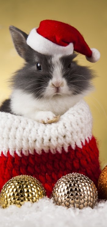 bauble Christmas santa hat Animal rabbit Phone Wallpaper