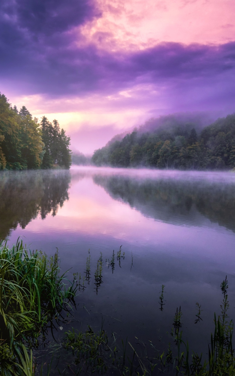 Download Lake Nature Reflection Phone Wallpaper - Mobile Abyss