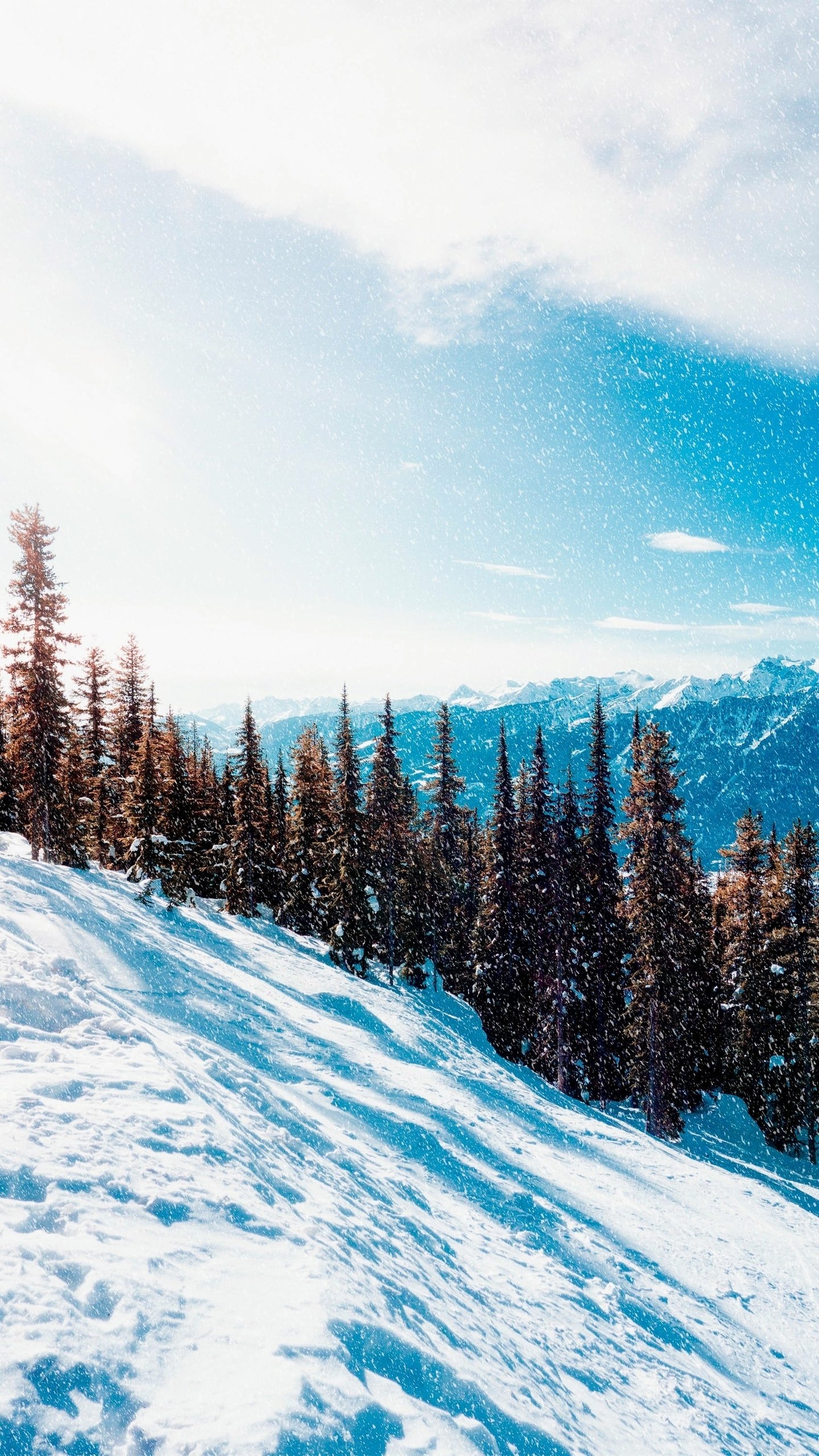 Download Nature Winter Phone Wallpaper