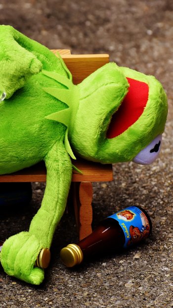  Drunk Kermit