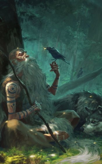 staff crow wolf tattoo beard fantasy shaman Phone Wallpaper