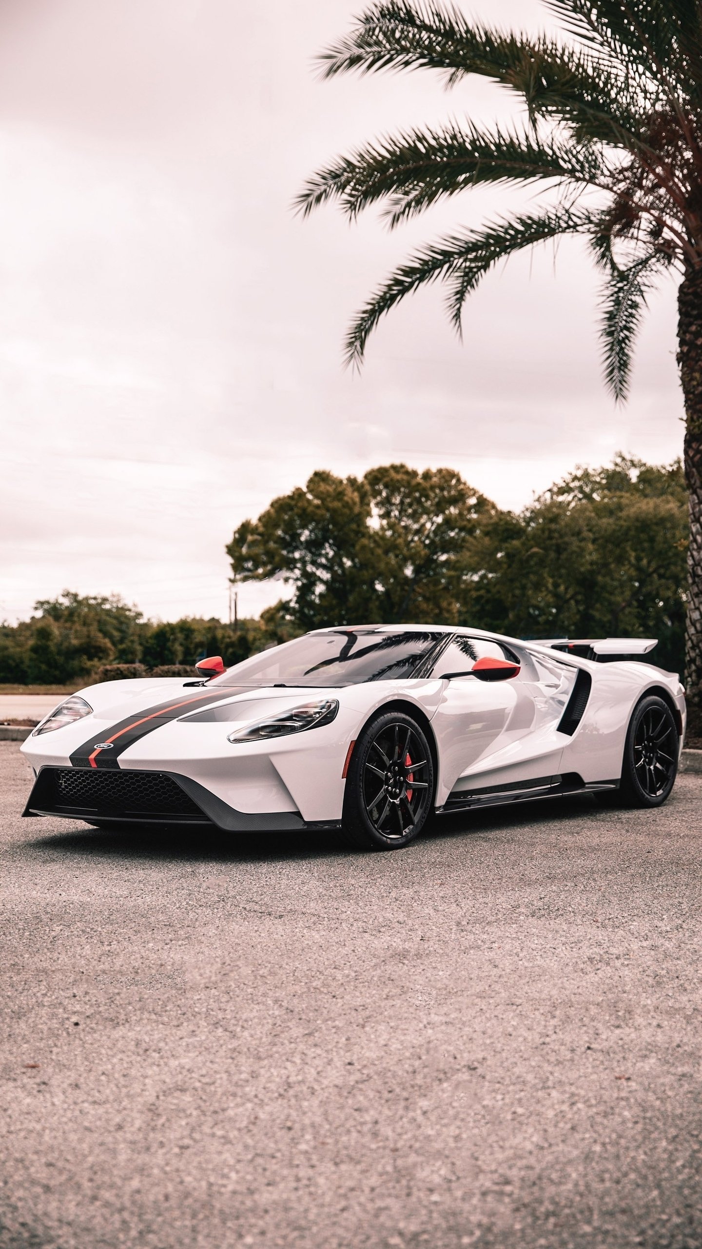 Download Vehicle Ford GT Phone Wallpaper