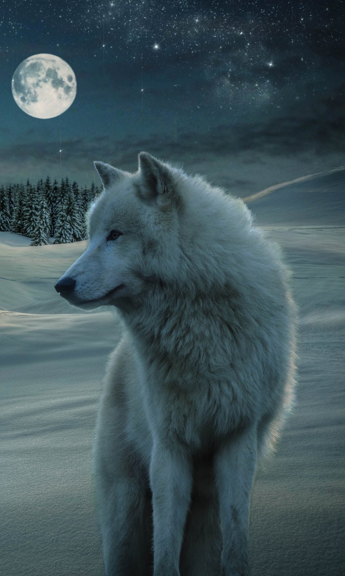 Download Night Moon Snow Winter White Wolf Animal Wolf Winter Night Night Snow Winter Animals Phone Wallpaper