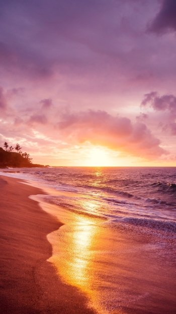 nature beach Phone Wallpaper