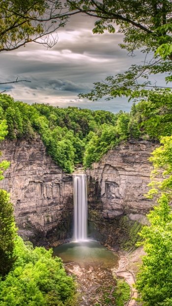nature greenery cliff forest waterfall Phone Wallpaper