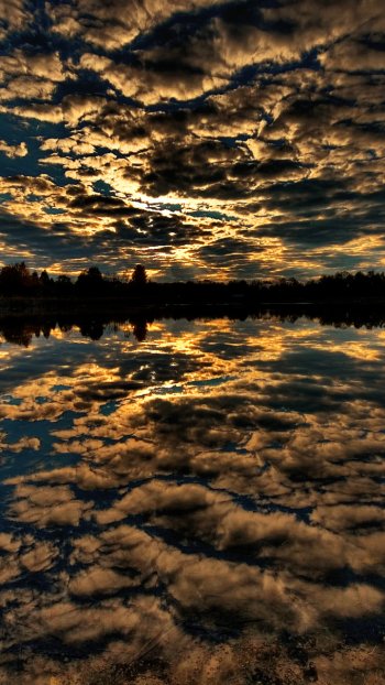 nature reflection Phone Wallpaper