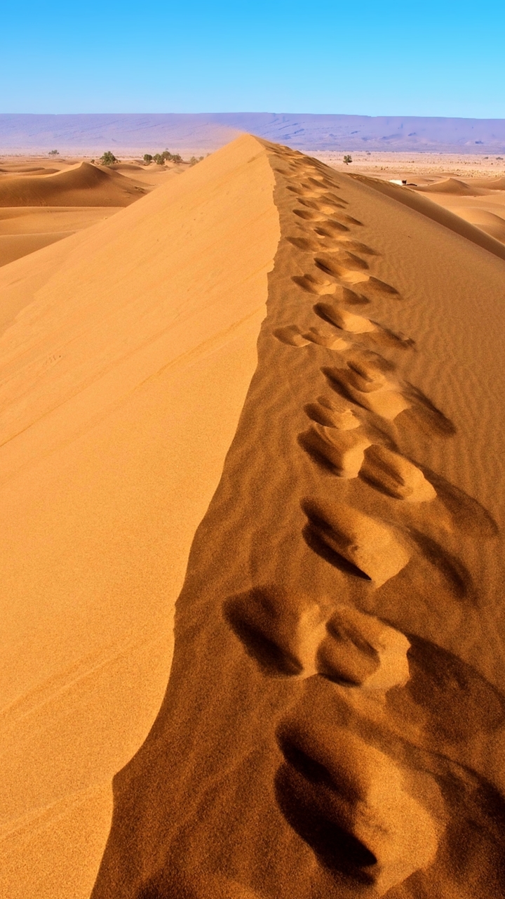 Sand Footprint - Algeria