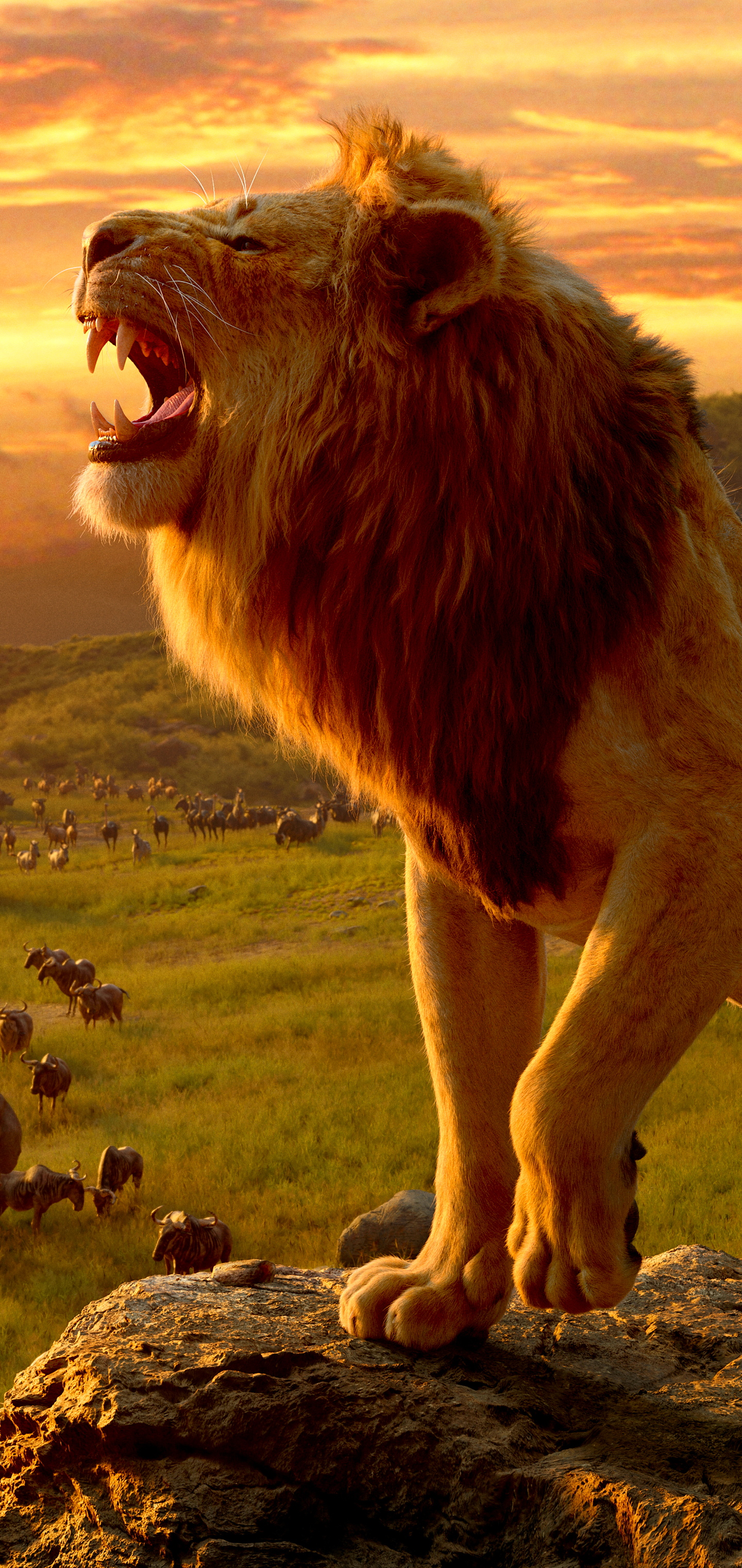 Hd Wallpaper Of Lion For Mobile