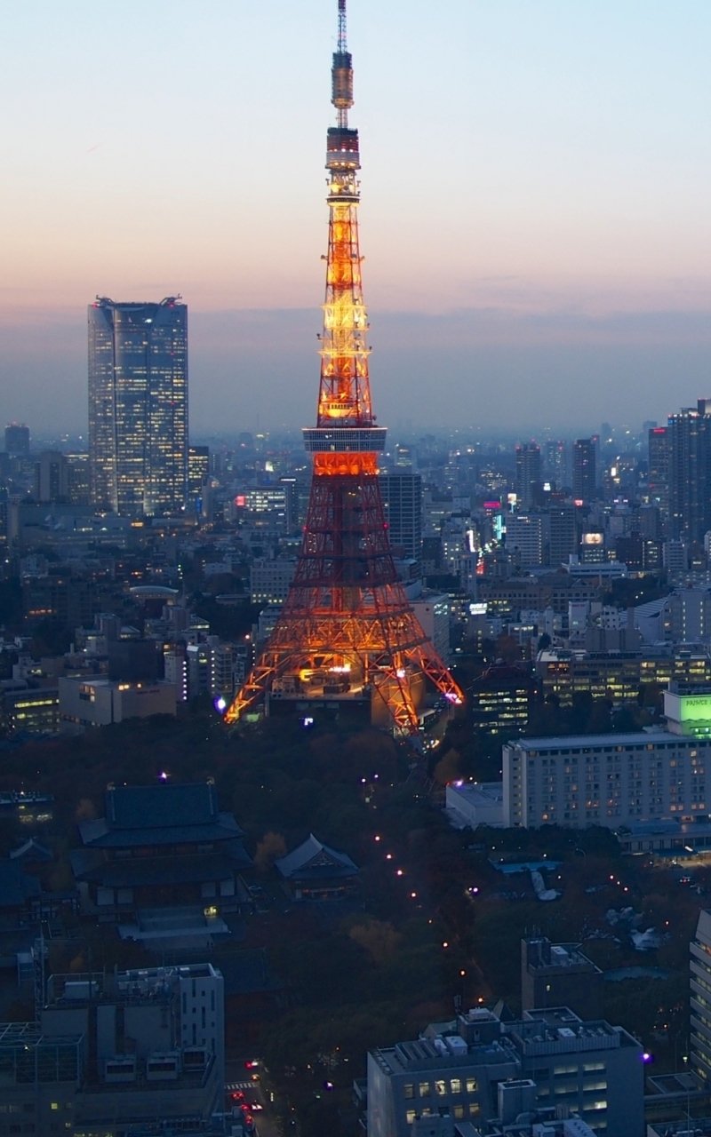 Phone wallpaper featuring Tokyo Tower in Tokyo, Japan — a glowing man-made landmark at twilight above the city skyline.