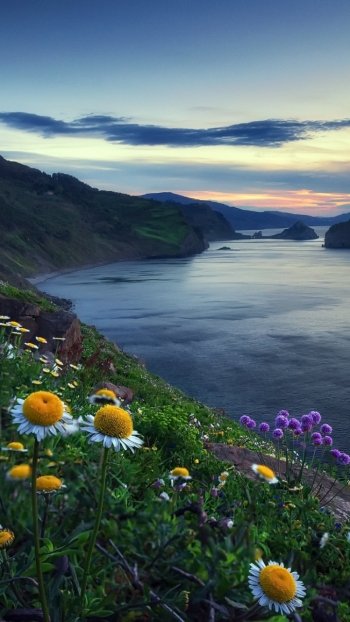 sky flower horizon nature coast coastline Phone Wallpaper