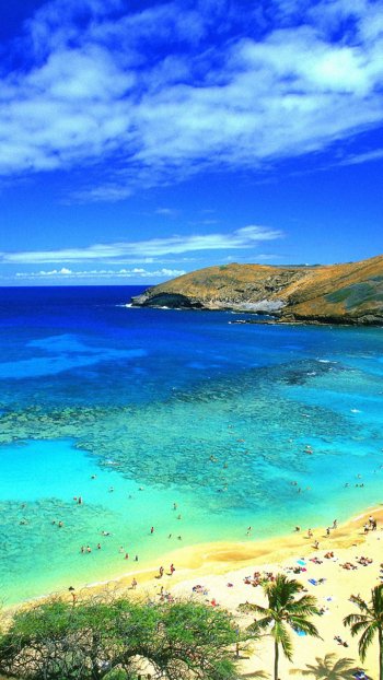  Hawaiian Beach