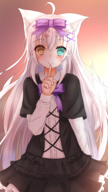 heterochromia long hair white hair cat girl Anime Original Phone Wallpaper