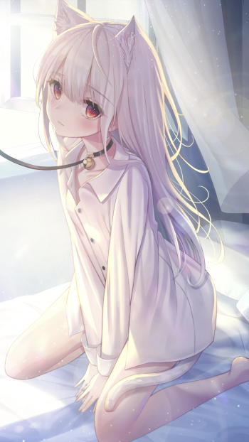 red eyes long hair white hair animal ears tail cat girl Anime Original Phone Wallpaper
