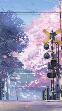 12 5 Centimeters Per Second Appleiphone Se 640x1136 Wallpapers