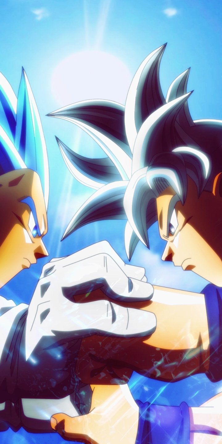 Phone wallpaper of Goku & Vegeta from Dragon Ball Super — anime image of the two clasping forearms, locked glare, glowing blue auras and a bright sun flare.