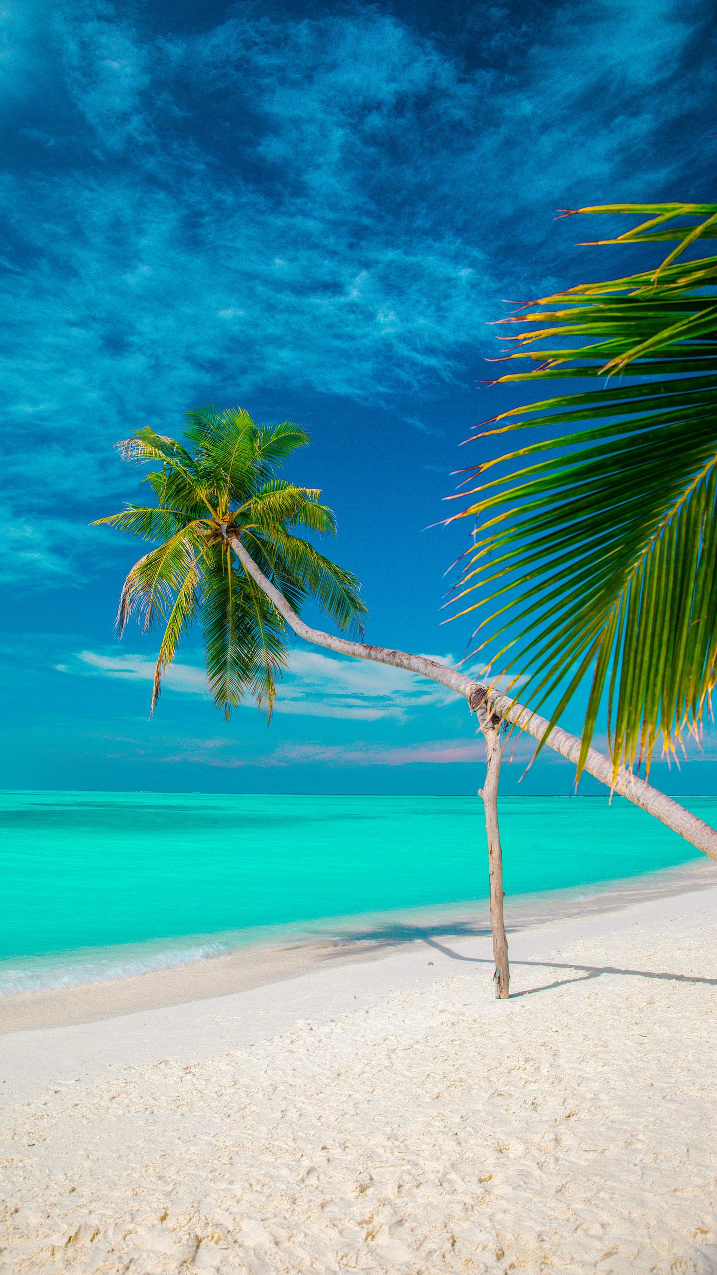 Download Nature Beach Phone Wallpaper