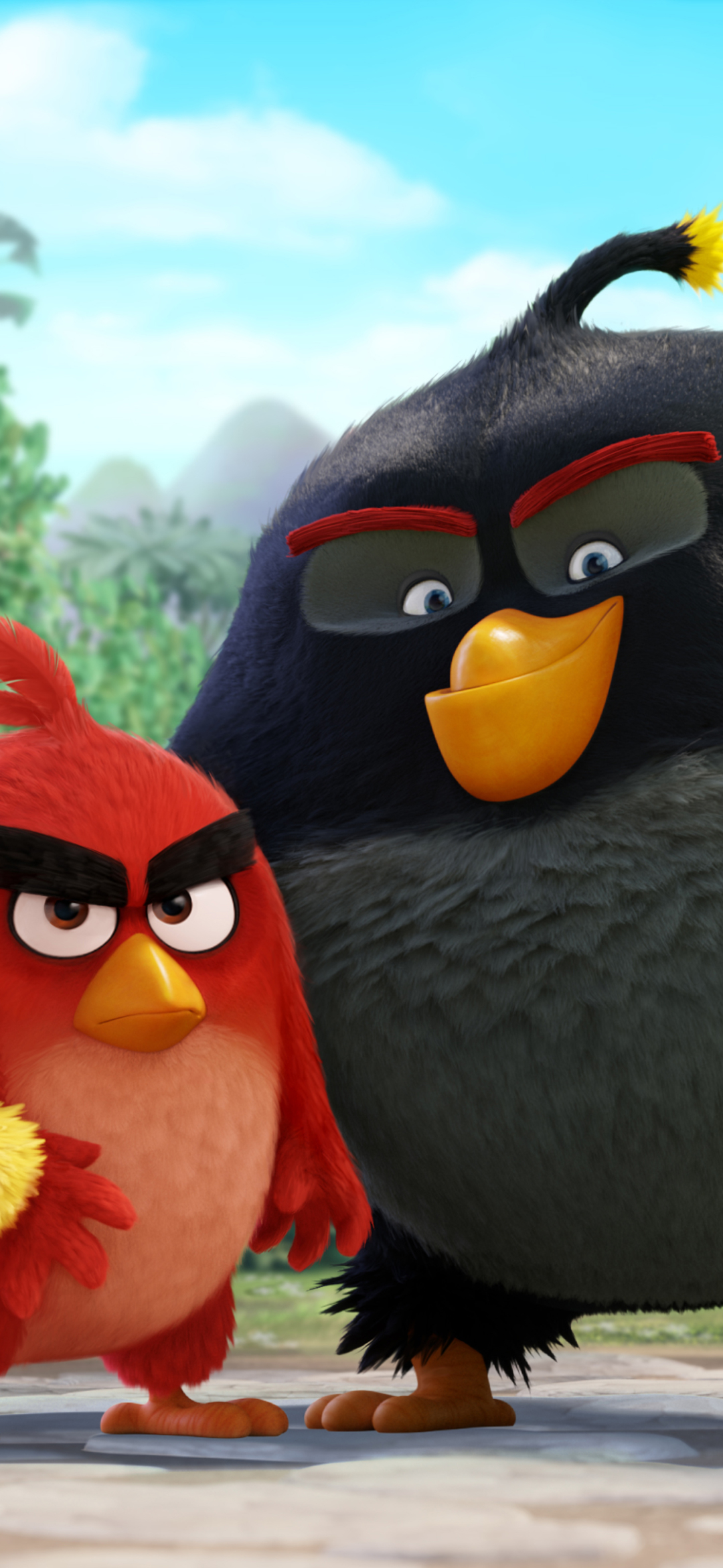 Movie The Angry Birds Movie 1080x2340 Wallpaper Id 8094 Mobile Abyss