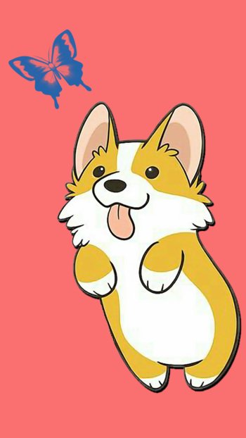 dog Animal corgi Phone Wallpaper