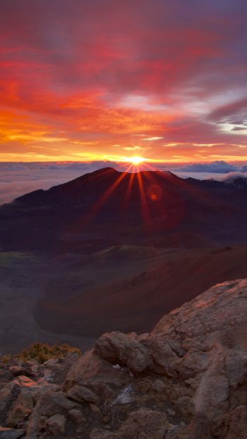nature sunrise Phone Wallpaper