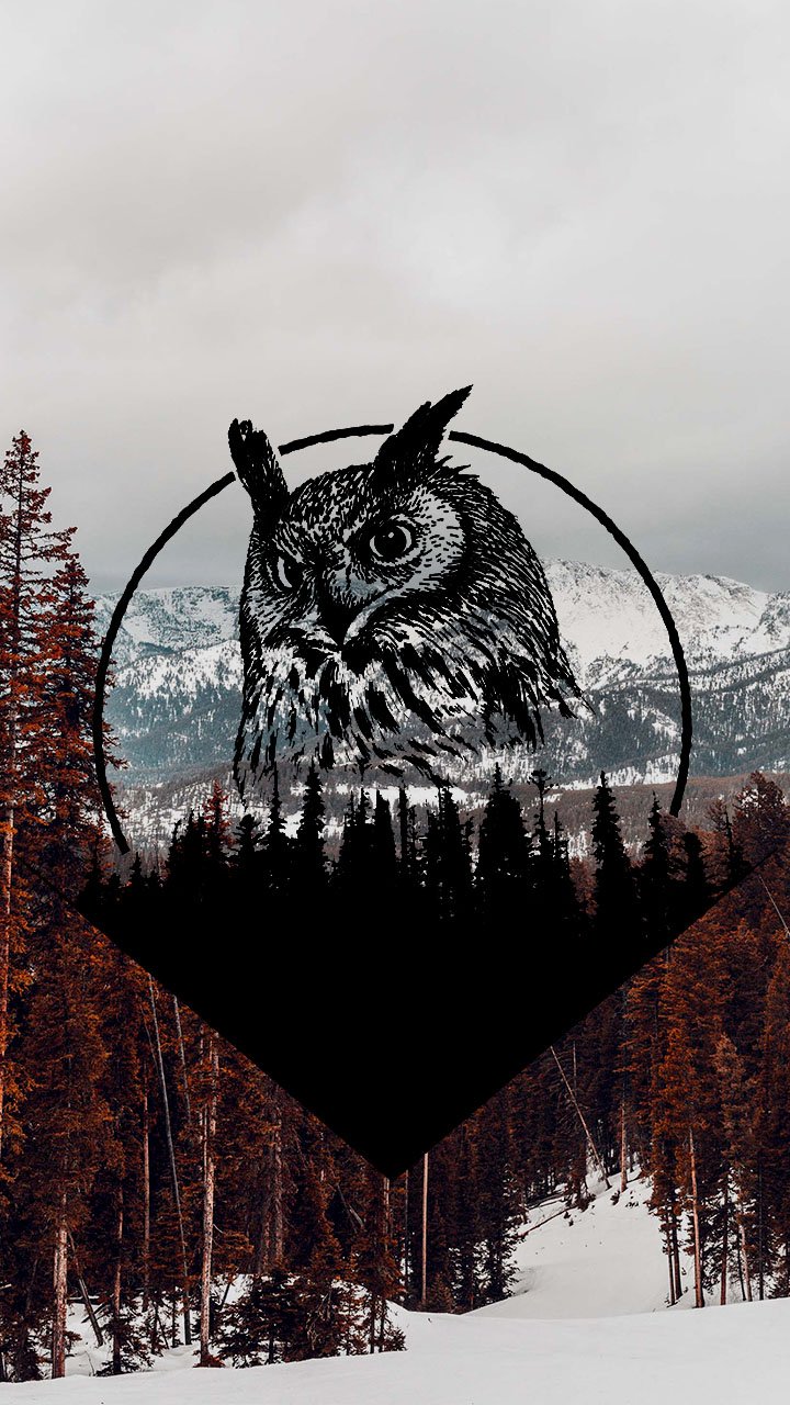 Download Animal Owl Phone Wallpaper by Raphitalia