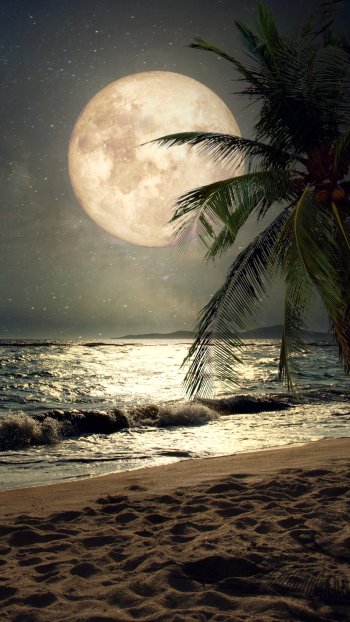 nature moon Phone Wallpaper