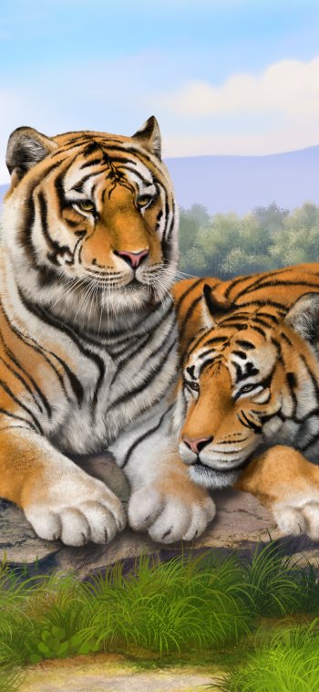  Tigers by Olga Grigoryeva