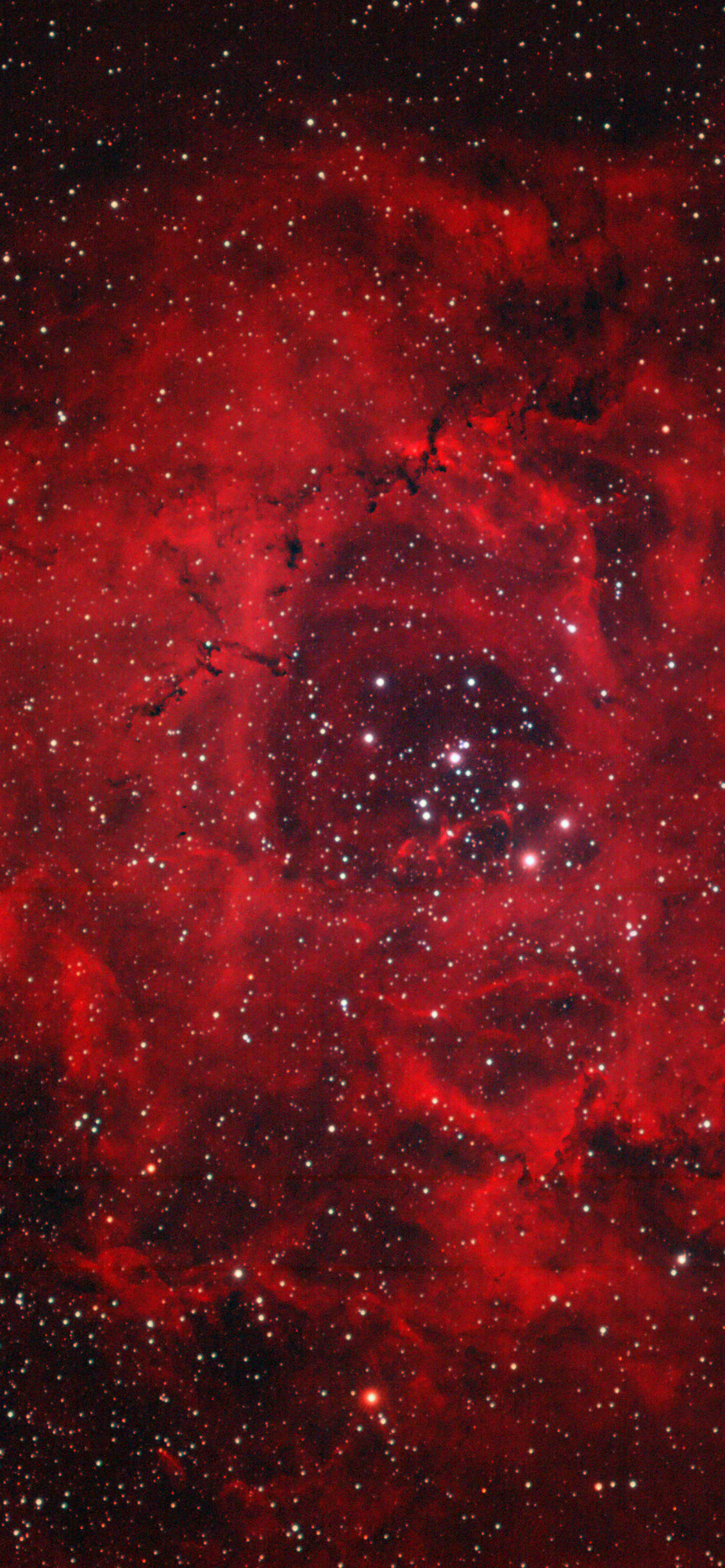 Rosette Nebula Red Colorenchanced Galaxy Universe Stock Photo 1272790804   Shutterstock