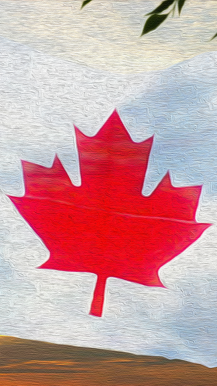Canadian Flag - Oil on Canvas