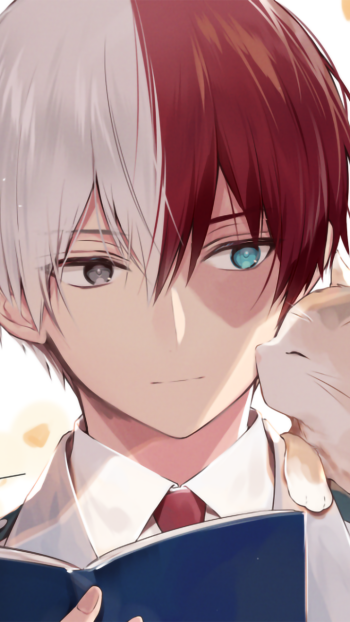 Shoto Todoroki Anime My Hero Academia Phone Wallpaper