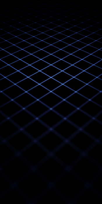  Grid Perspective